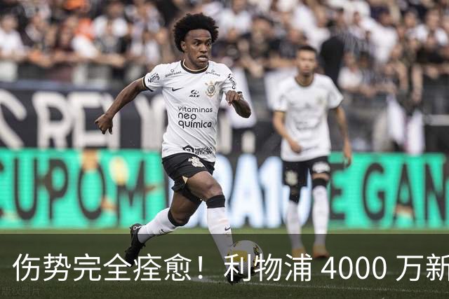 伤势完全痊愈！利物浦 4000 万新援迎世界杯首秀，西班牙边路解燃眉之急